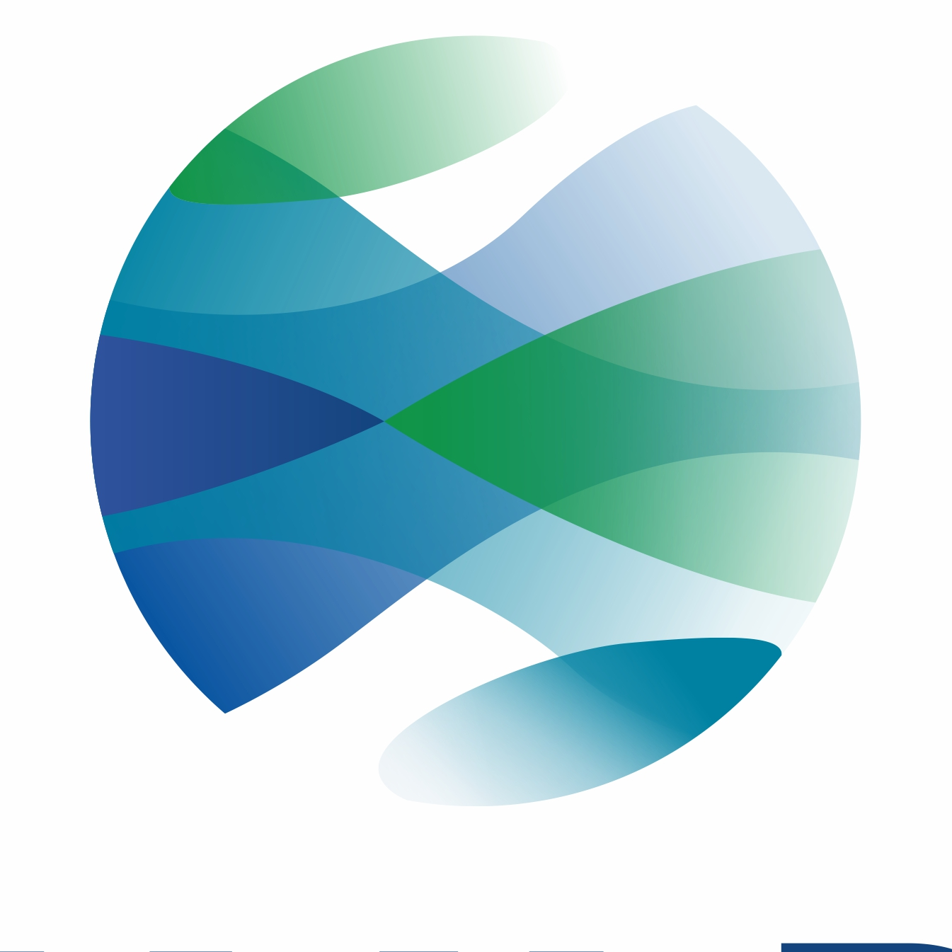 Nayara Energy logo